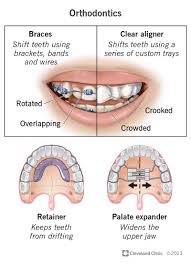 orthod 2